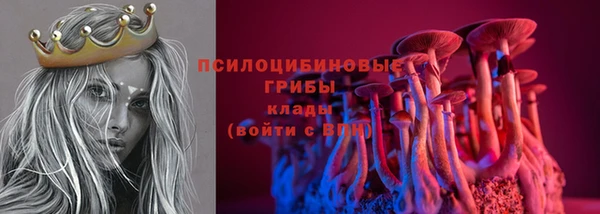стаф Алексин