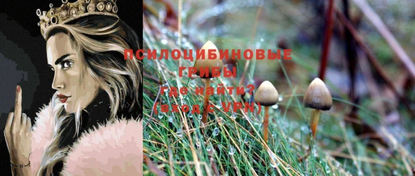 гидра Алзамай